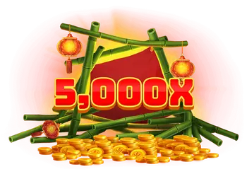 5000x bet