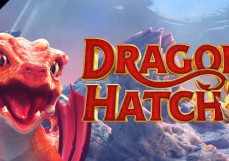 Dragon Hatch 2