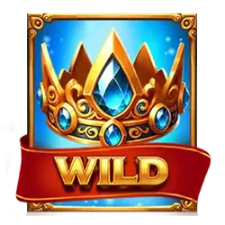 Wild symbol