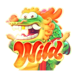 Wild Symbol