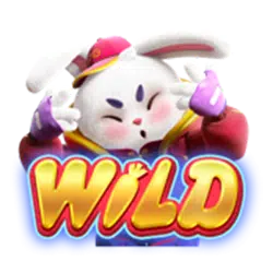 Wild & Scatter Symbol