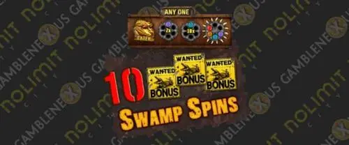 Swamp Spins