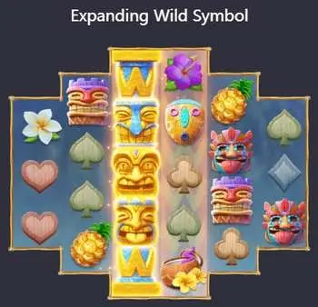 Expanding Wild Symbol