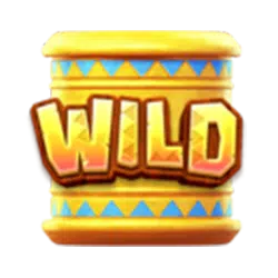 Wild Symbol