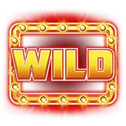 symbol wild