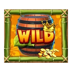 Wild Symbol