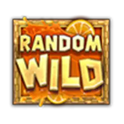Random Wild