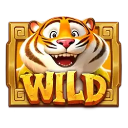 Wild Symbol