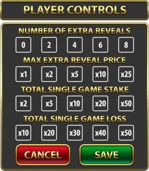player controls