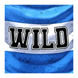 symbol wild