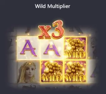 Wild Multiplier