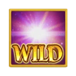 Wild Symbol
