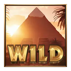 Wild Symbol