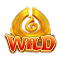 Wild Symbol