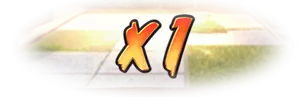 Multiplier