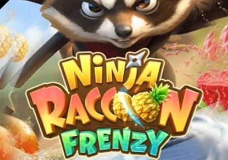 Ninja Raccoon Frenzy