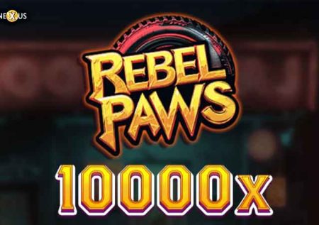 Rebel Paws