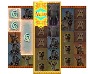 Wild Transformation Reel