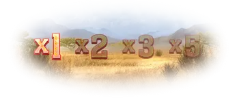 Multiplier