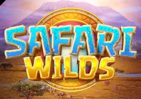 Safari Wilds