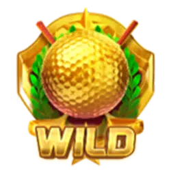 Wild Symbol