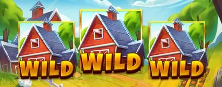 Barn Wild