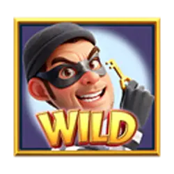 Wild Symbol
