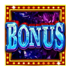 Bonus