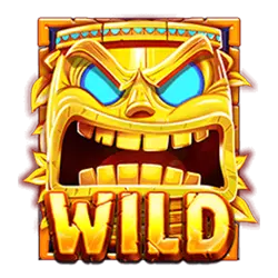 symbol wild