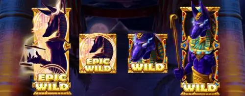 Wild Symbols