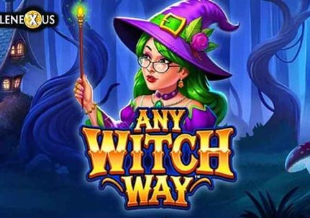 Any Witch Way