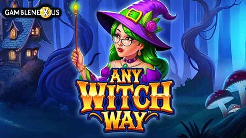 Any Witch Way