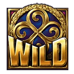 Symbol Wild