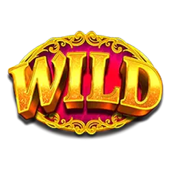 Symbol Wild