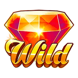 Wild Symbol