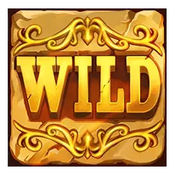 Symbol Wild