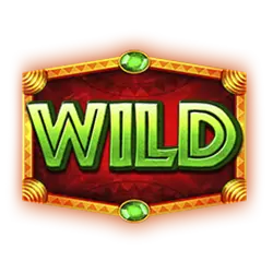 Symbol Wild