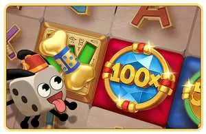 coin and dice