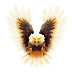 Golden Eagle Symbol