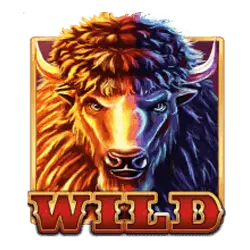 Wild Symbols