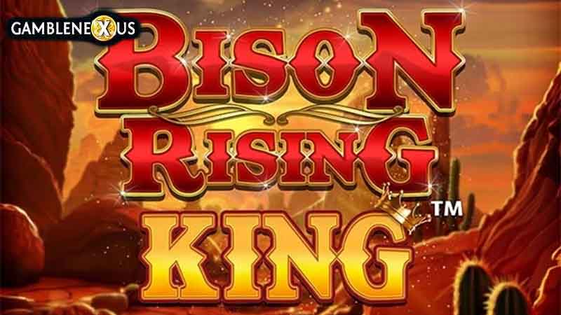 Bison Rising King