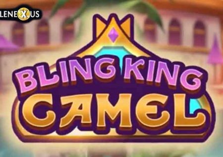 Bling King Camel