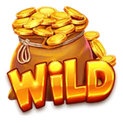 Symbol Wild