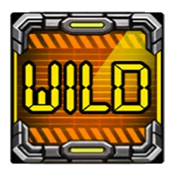 Symbol Wild