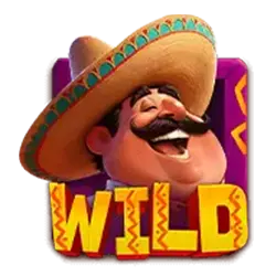 Wild Symbol