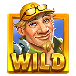 Wild Symbol