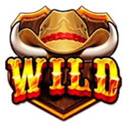 Symbol Wild