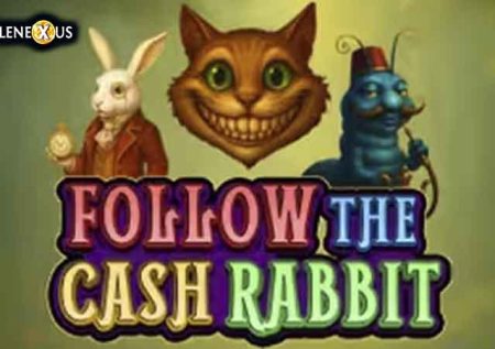 Follow the Cash Rabbit