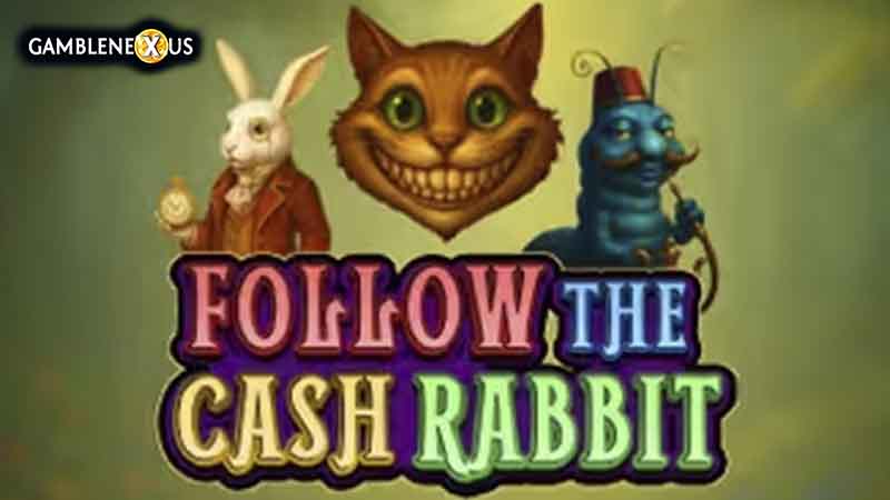 Follow the Cash Rabbit