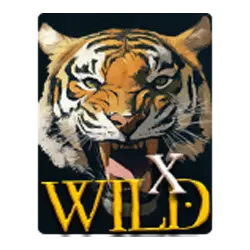 Symbol Wild